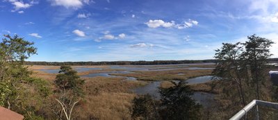 View from the Merkle Watch Tower
