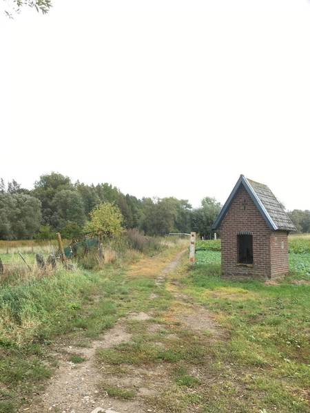 singletrack Eynbroek