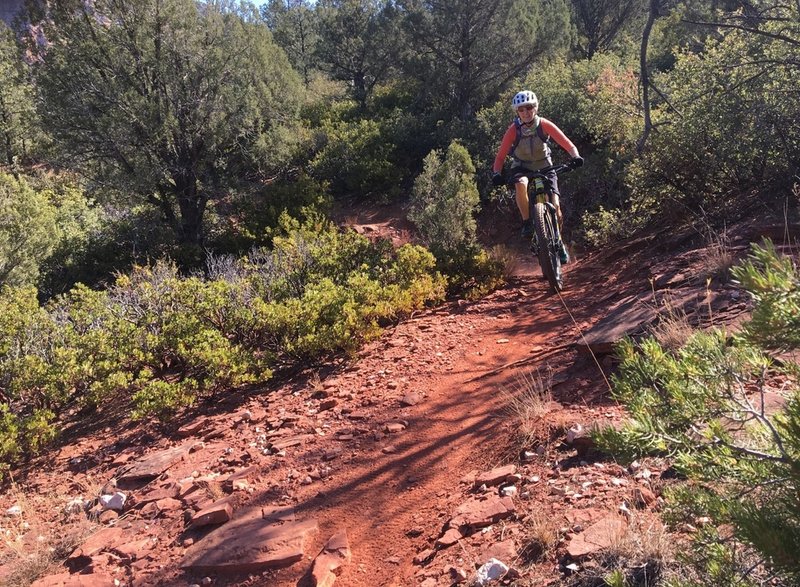 Cruising a mellow section of trail