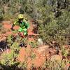 Crossing a dry wash on Two Fence Trail.