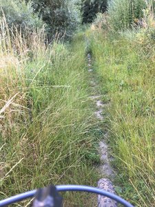 singletrack on trail