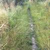 singletrack on trail