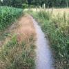 singletrack on gravel