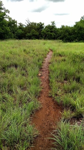 Green Trail.