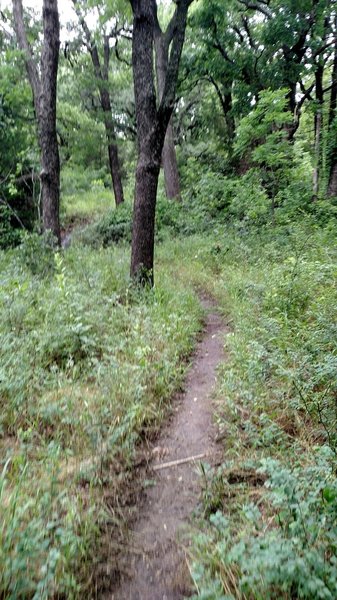 Green Trail.