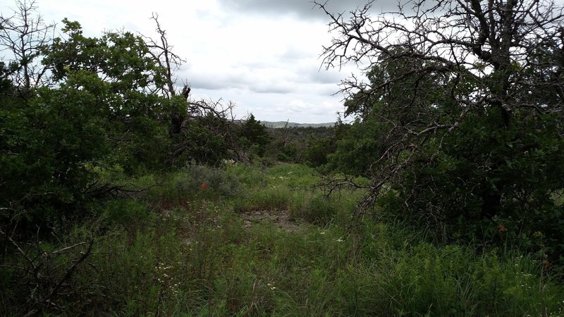 View from Green Trail.