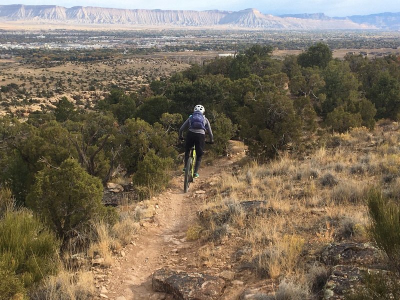 View across Grand Junction