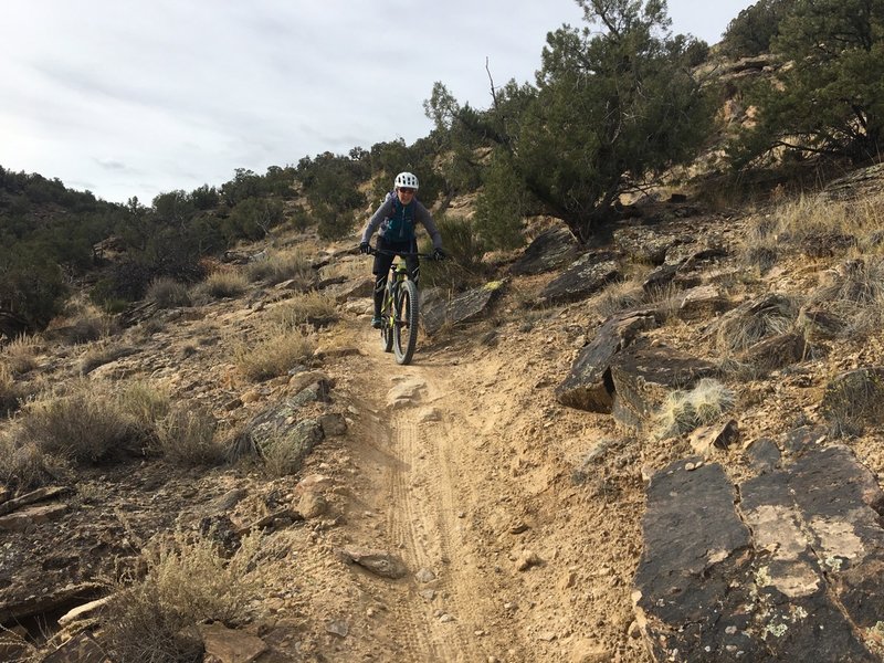 The trail is rocky and narrow in places