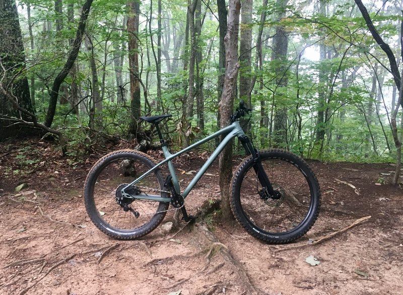 Foggy morning at Green's Lick trailhead