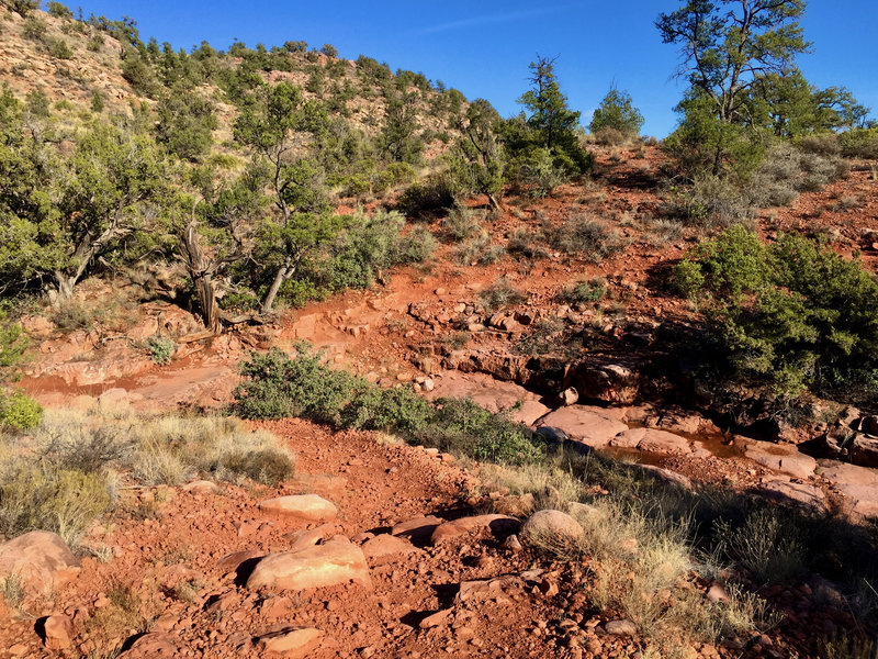 Creek crossing down and up (looking east)