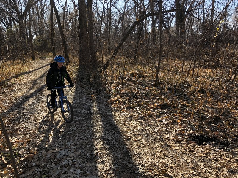 The campus woods trail is very wide, flat and perfect for beginners.