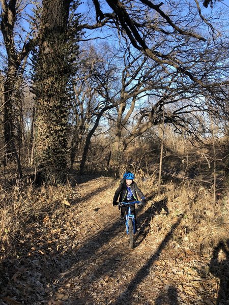 The campus woods trail is very wide, flat and perfect for beginners.