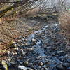 Berma road near Sargent creek