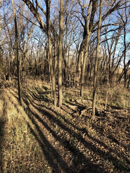 This is a neat, winding area.  I'll bet it takes a long time to dry out though...