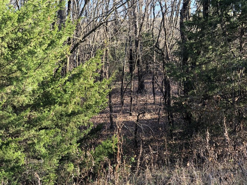 There are other mapping tools out there that show trail in this low area, but it has currently been abandoned due to holding water for long periods of time.