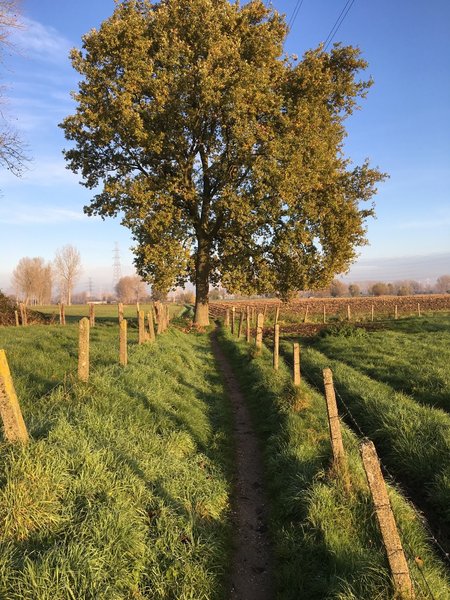 S track at Lauwershoek fort