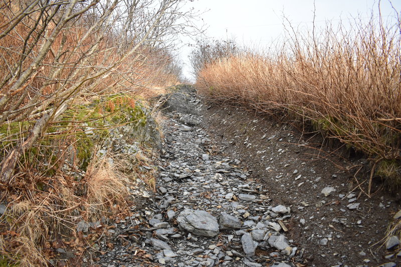 Pillar to swampy trail