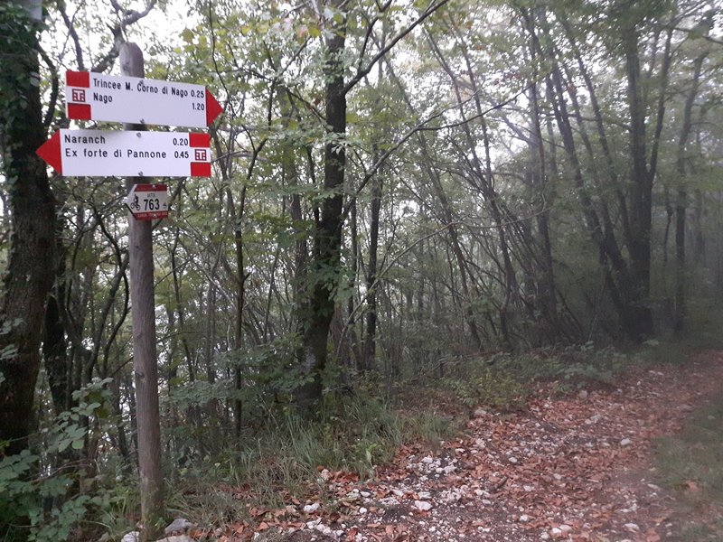 At the lower end of Anaconda - Upper Doubletrack. To ride Anaconda you've to leave the doubletrack (#763) here to the right.