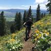 Descending Caffeine Trail near the top of the mountain