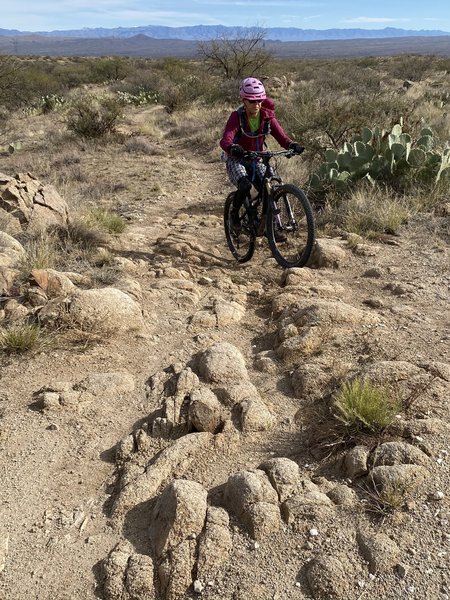 Small rock garden on High Point Trail.