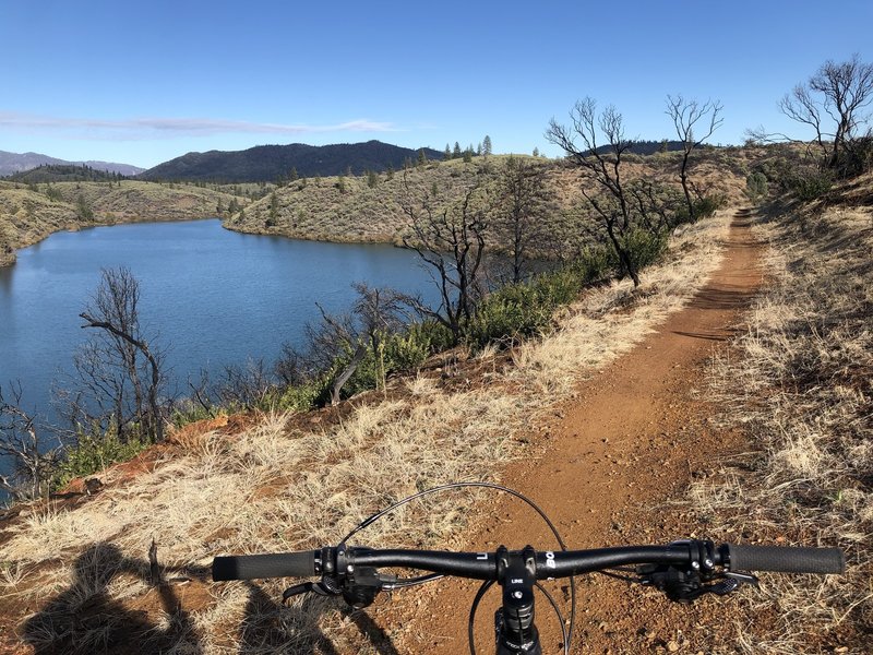 Riding the FB trail along Sacramento River.