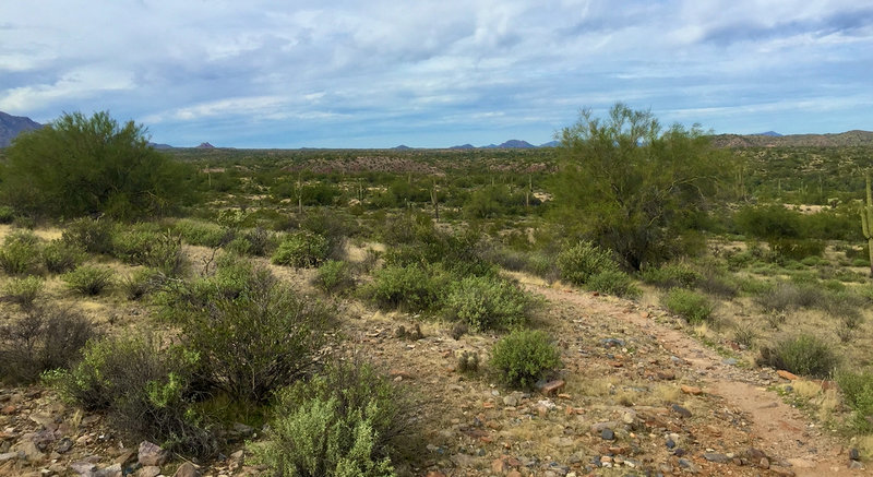 Looking northwest from the east side of the trail.