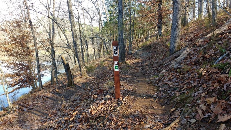 Trail split at the big rock.