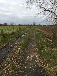 Track
