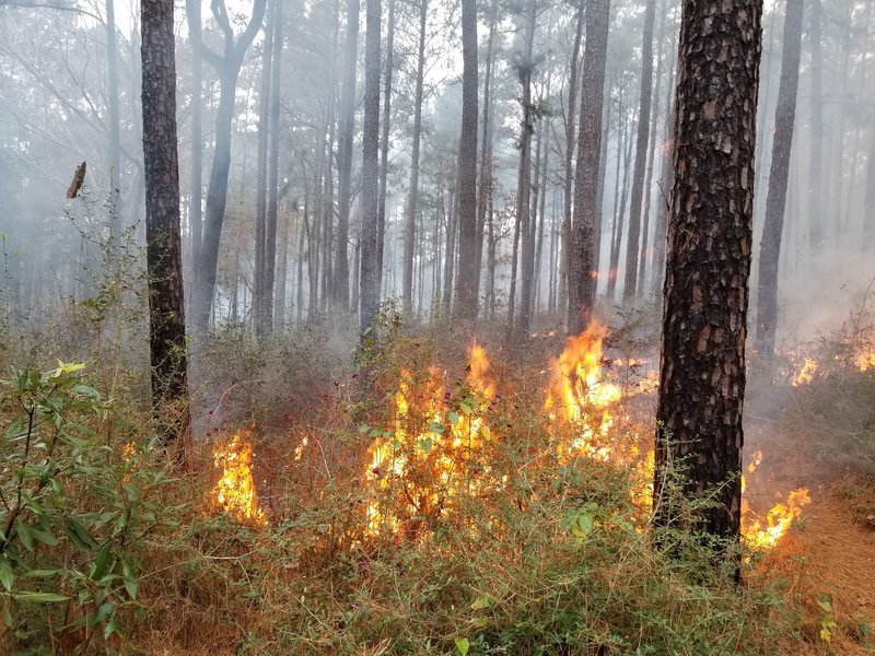 Dec 8 2019 RCW SW loop brushfire