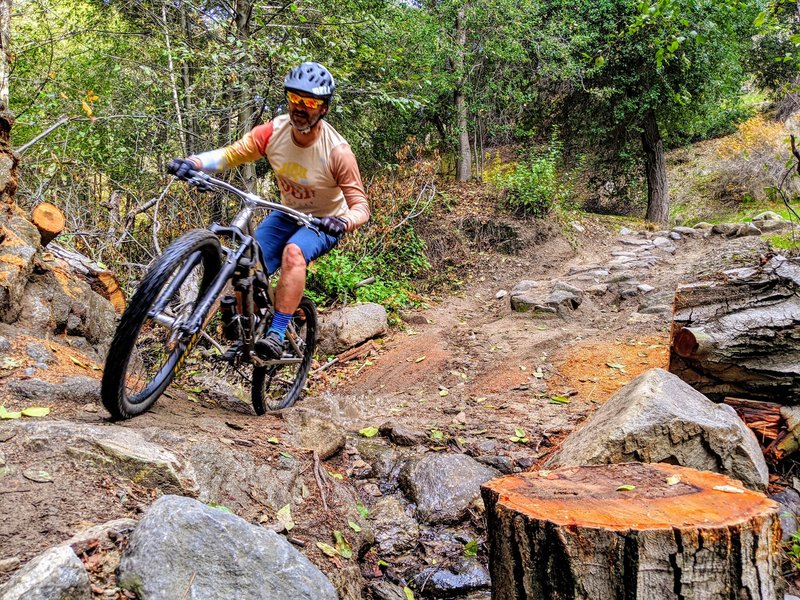 This trail is tirelessly maintained by volunteers like Erik, seen here riding past his sawyering handiwork.