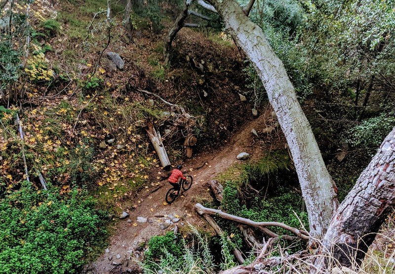 It's fun to jam down this trail, but you'll miss all the beauty of the canyon.