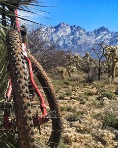 Snow up high but nice tacky singletrack low on the HoneyBee Loop