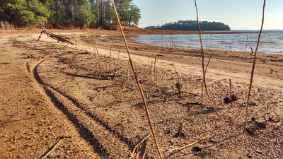 Mountain Bike Trails near Sadlers Creek State Park
