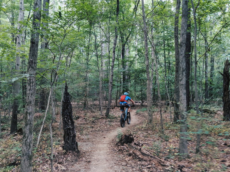 Intermediate Loop. June 2019.