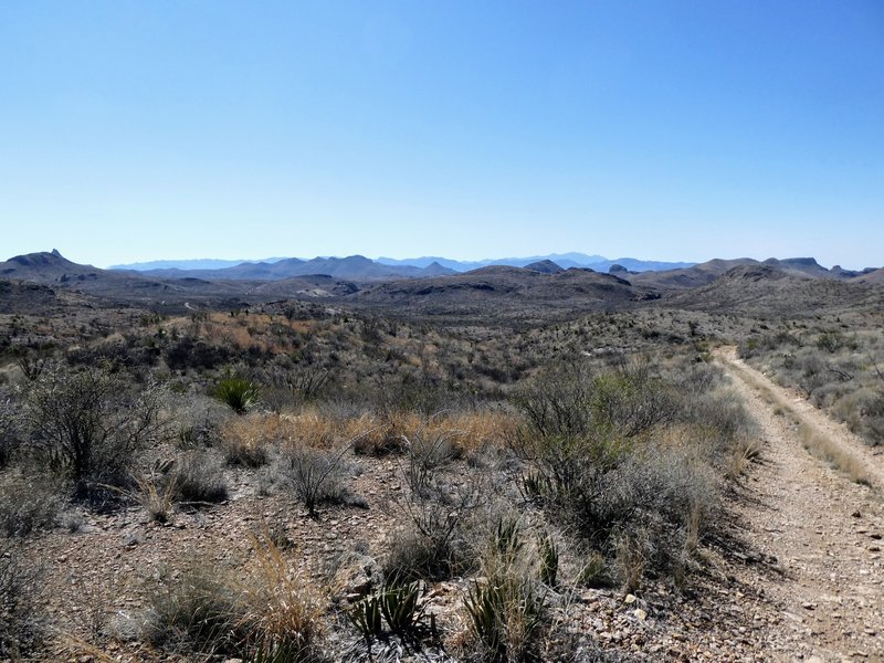 Near the north end of the Rancherias Trail