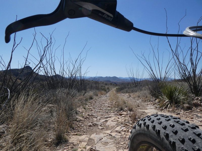 Near the intersection of Aso Loop and Rancherias Trail