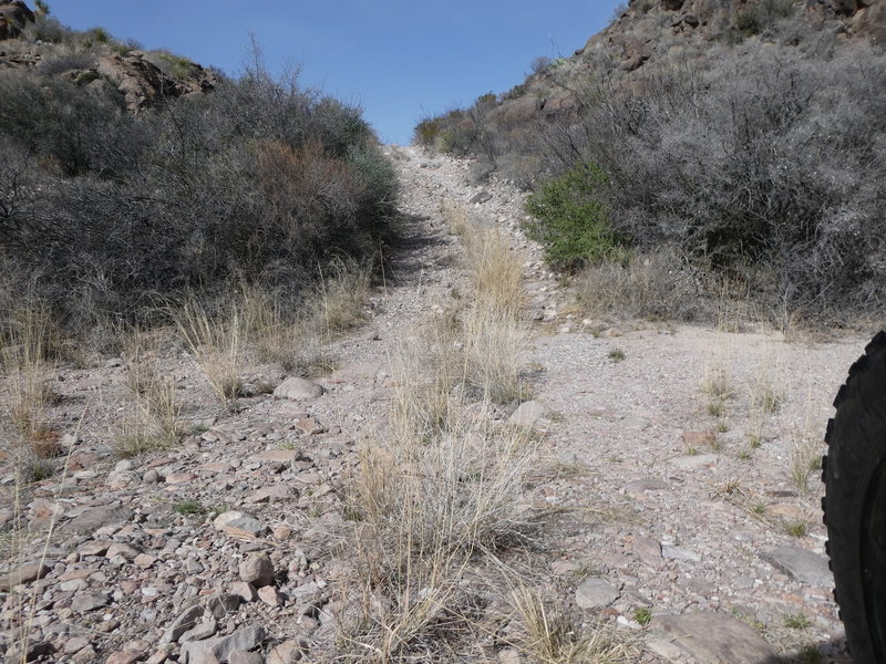 Near Rancherias Campground