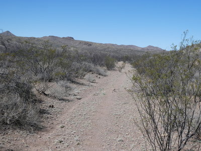 View along Tescate Trail