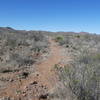 View along Horsetrap Trail