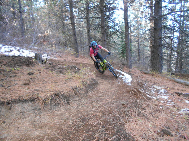 Upper Caffeine Trail--the Jungle Section. Super fast and curvy!