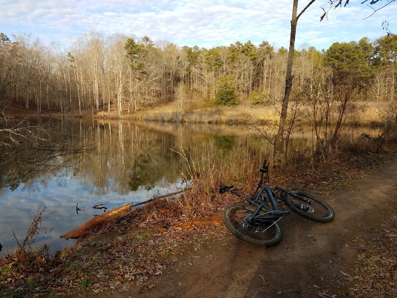 Winter Reflections in the lake at Matt Community Park