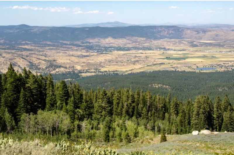 View of Honey Lake Valley