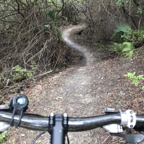 There are some slippery drop-offs and off camber turns that make this trail exciting.