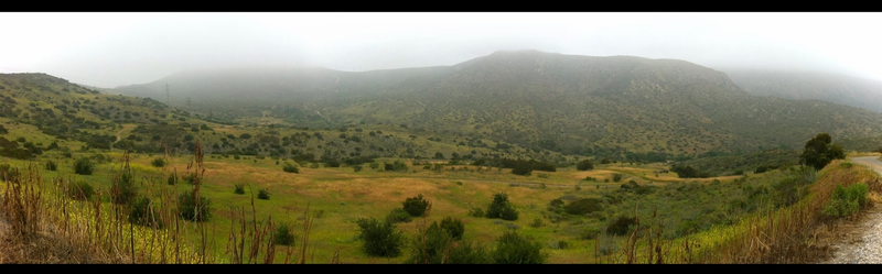 nice view from the trail