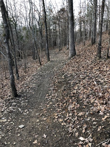 Downhill section with grade reversals along the path control erosion and add for ups and downs along the way