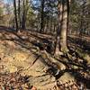 Trail armoring at a water crossing