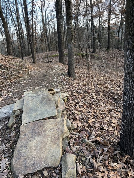 One of the rock jumps on the downhill