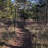 very flat, tame section of trail