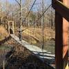 swinging bridge over the lake