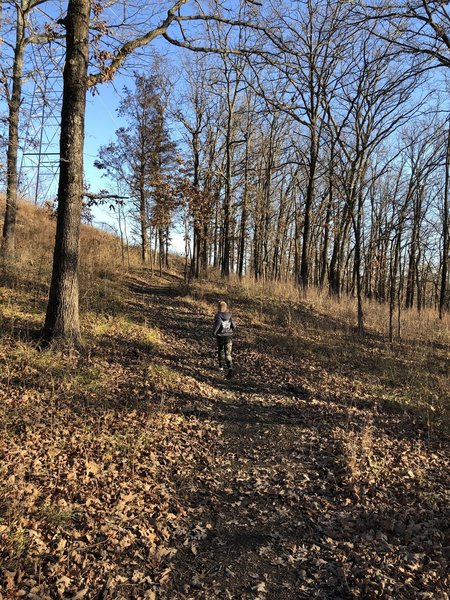 More trail running; there's some slight elevation in this section